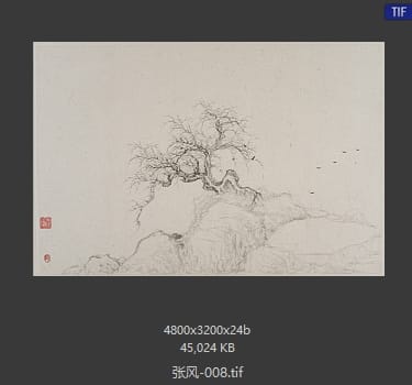 张风 #008