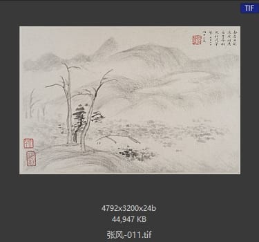 张风 #011