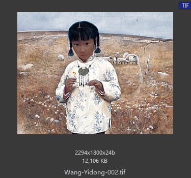 王沂东 沂蒙娃