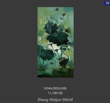 张维君 #004