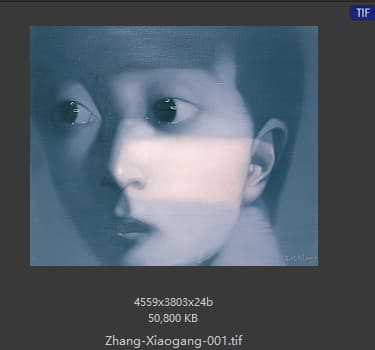 张晓刚 #001