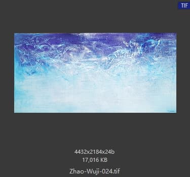 赵无极 #024