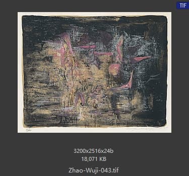 赵无极 #043