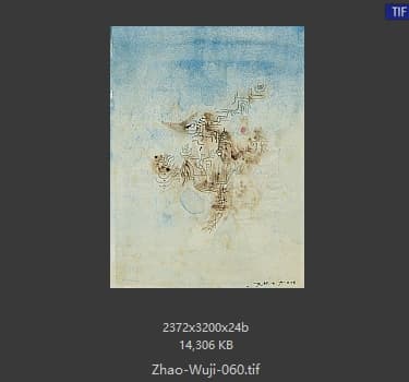 赵无极 #060