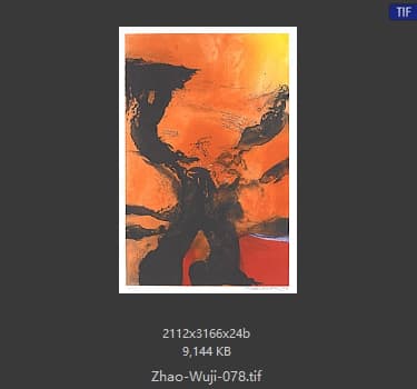 赵无极 #078