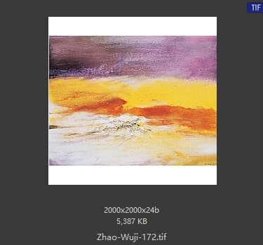 赵无极 #172