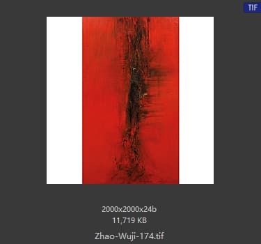 赵无极 #174