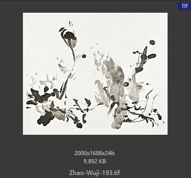 赵无极 #193