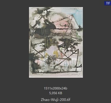 赵无极 #200