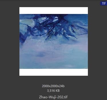 赵无极 #202