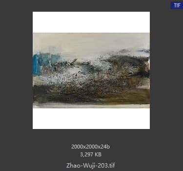 赵无极 #203