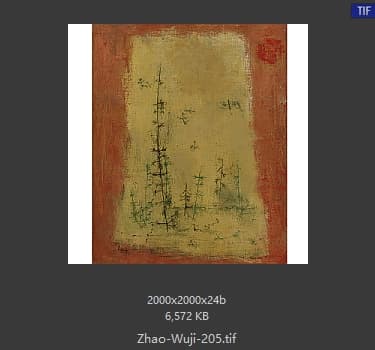 赵无极 #205