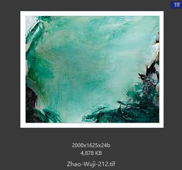 赵无极 #212