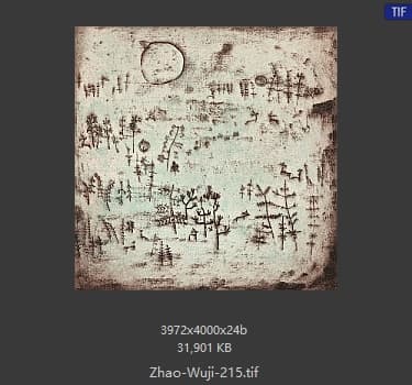 赵无极 #215