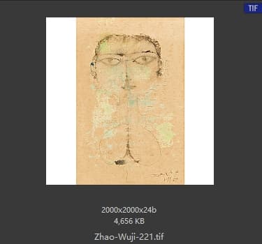 赵无极 #221