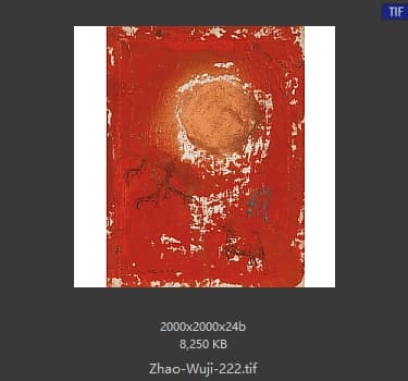 赵无极 #222