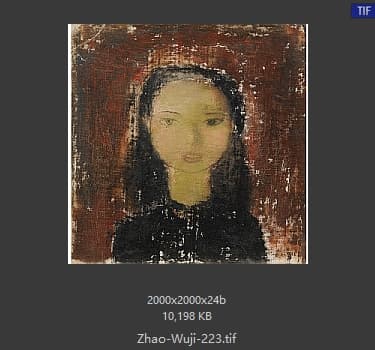 赵无极 #223