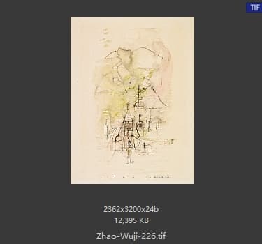 赵无极 #226