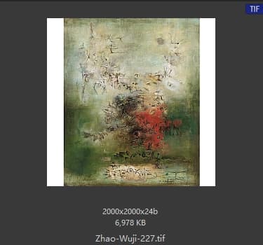 赵无极 #227