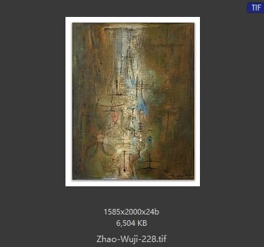 赵无极 #228