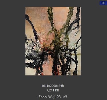 赵无极 #231