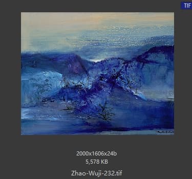 赵无极 #232