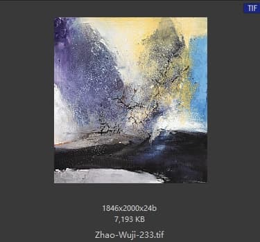 赵无极 #233