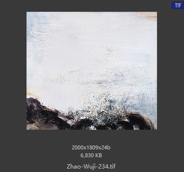 赵无极 #234