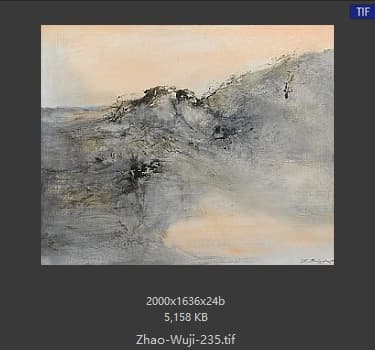 赵无极 #235