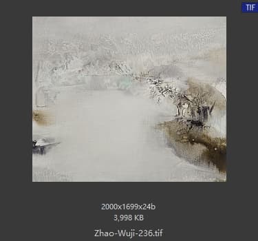 赵无极 #236