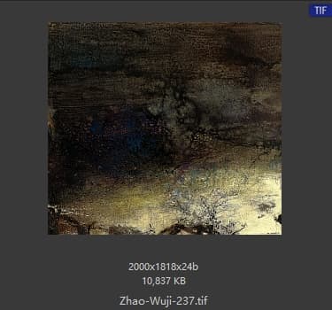 赵无极 #237