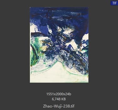 赵无极 #238