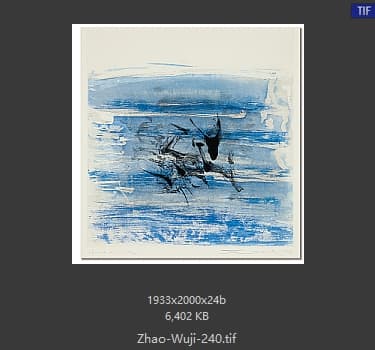 赵无极 #240