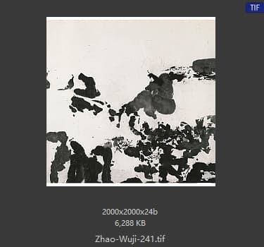 赵无极 #241