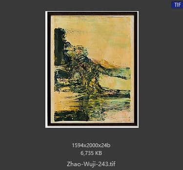 赵无极 #243