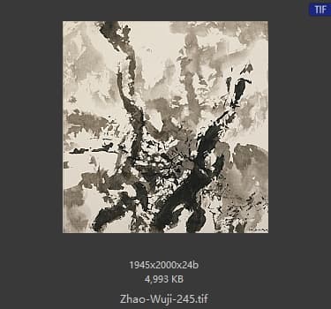 赵无极 #245