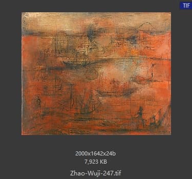 赵无极 #247