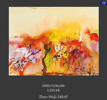 赵无极 #248