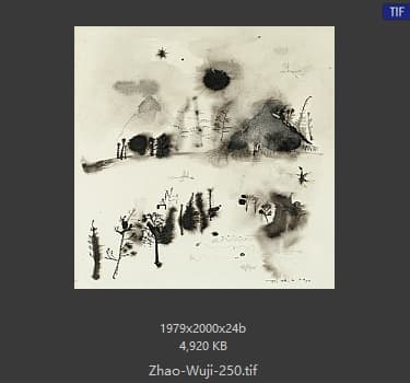 赵无极 #250