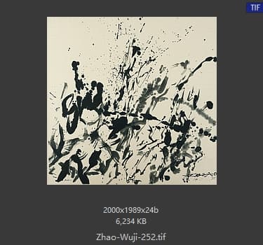 赵无极 #252