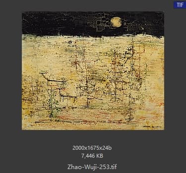 赵无极 #253