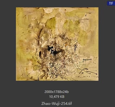 赵无极 #254