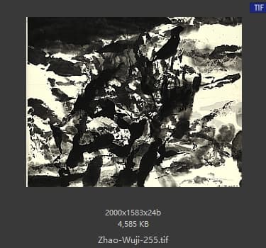 赵无极 #255