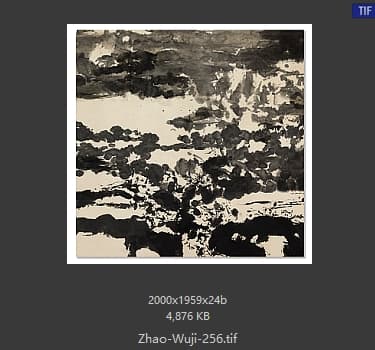 赵无极 #256