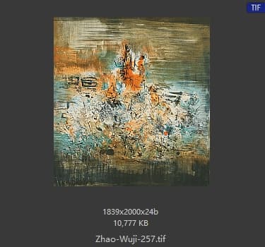 赵无极 #257