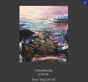 赵无极 #261