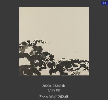赵无极 #262
