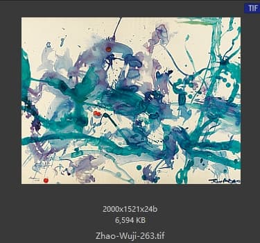 赵无极 #263