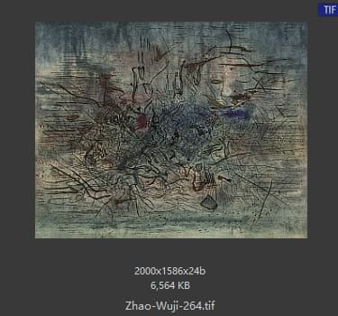 赵无极 #264