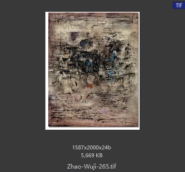 赵无极 #265
